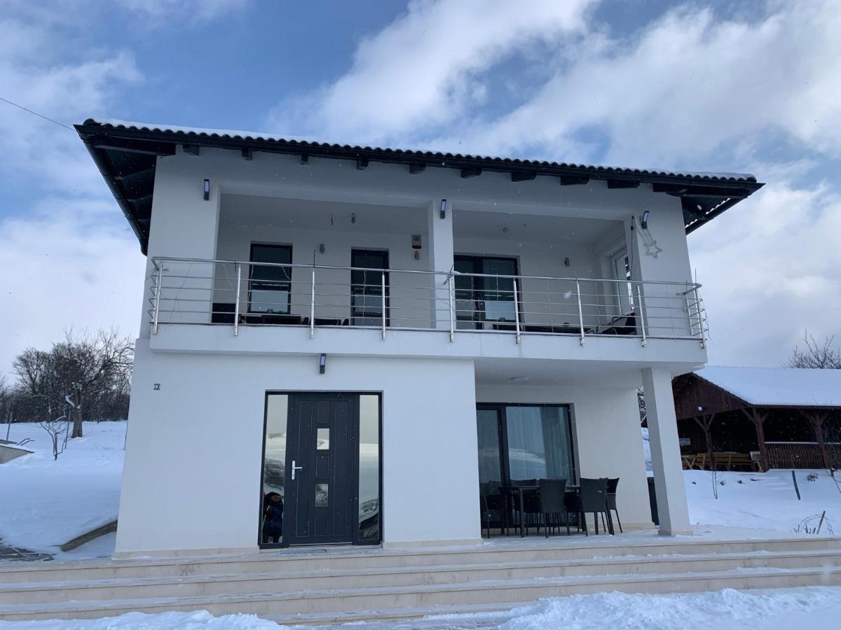 Villa Viktoria House Odorheiu Secuiesc Exterior foto